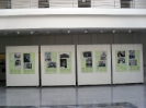 Βόλος 2011 Φωτογραφική Έκθεση